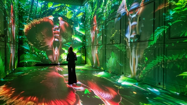 Superradiance - Xtopia Hope Istanbul 2024 - 20241205_172411